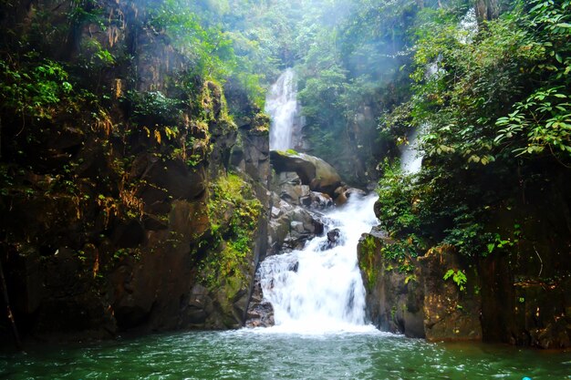 Landschaftliche Ansicht eines Wasserfalls im Wald