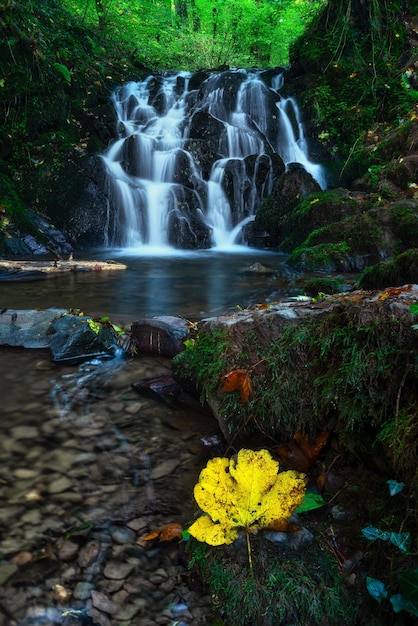 Landschaftliche Ansicht eines Wasserfalls im Wald