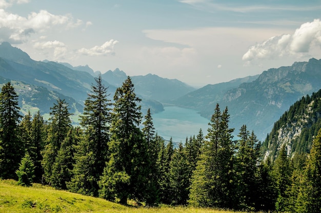 Landschaftliche Aussicht auf Bäume und Berge gegen den Himmel