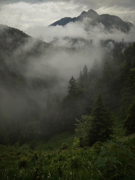 Landschaftliche Aussicht auf Berge gegen den Himmel