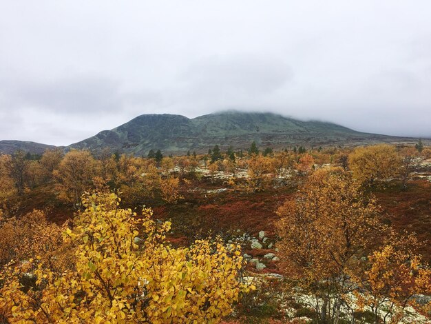 Foto landschaftliche aussicht auf berge gegen den himmel