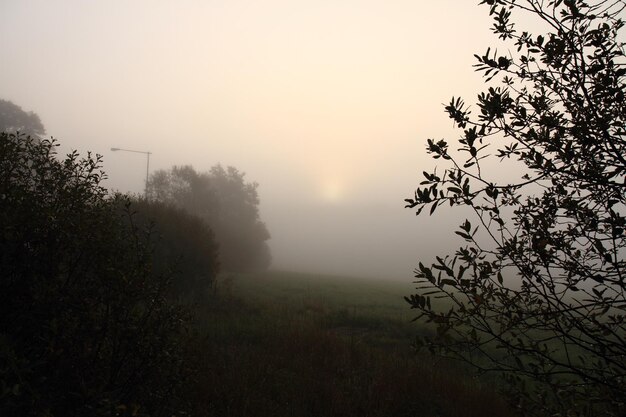 Foto landschaftliche aussicht auf das feld gegen den himmel bei nebligem wetter