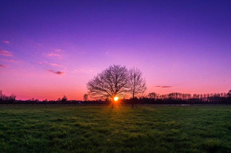 Foto landschaftliche aussicht auf das feld gegen den himmel beim sonnenuntergang