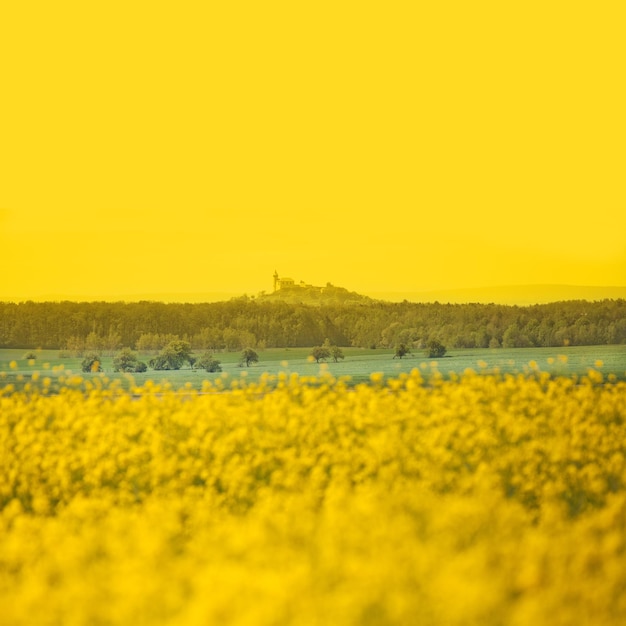 Foto landschaftliche aussicht auf das feld vor klarem himmel