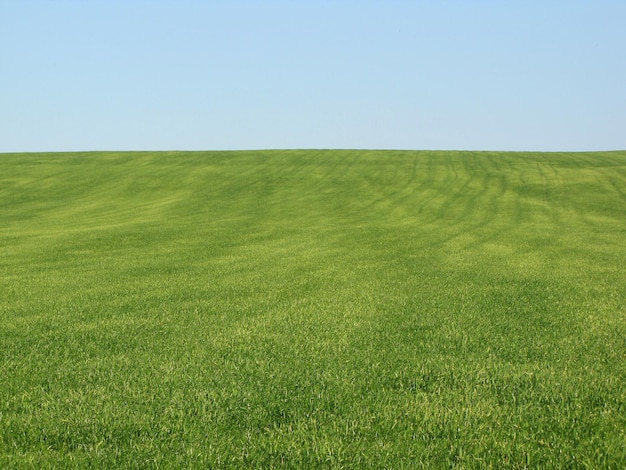 Foto landschaftliche aussicht auf das feld vor klarem himmel