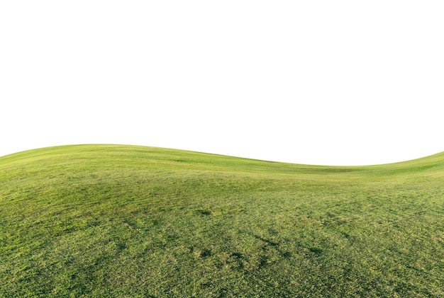 Landschaftliche Aussicht auf das Feld vor klarem Himmel