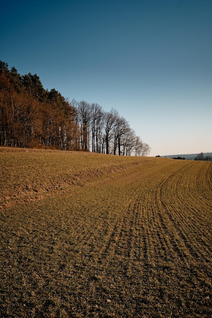 Foto landschaftliche aussicht auf das feld vor klarem himmel