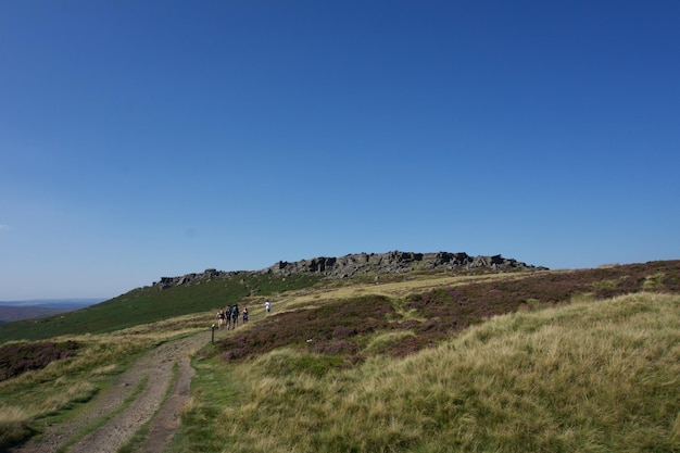 Landschaftliche Aussicht auf das Feld vor klarem Himmel