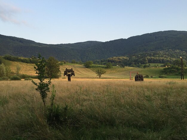 Landschaftliche Aussicht auf das Feld vor klarem Himmel