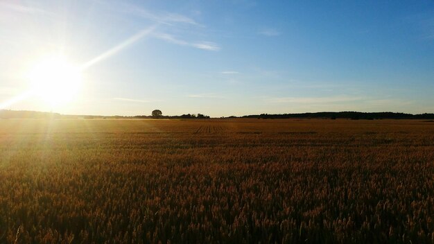 Landschaftliche Aussicht auf den Bauernhof gegen den Himmel an einem sonnigen Tag