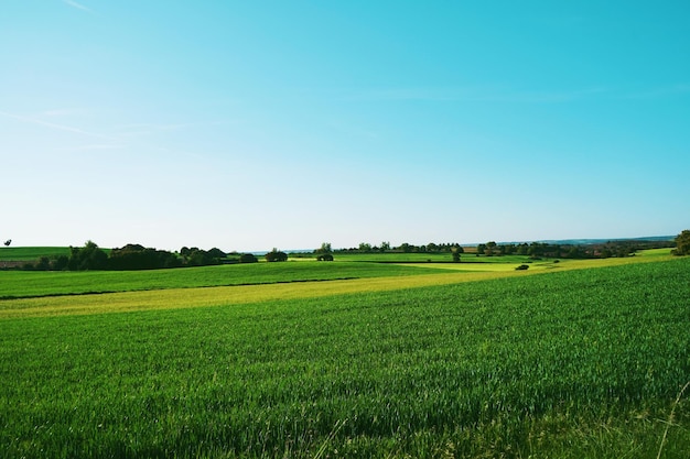Landschaftliche Aussicht auf den Bauernhof vor blauem Himmel