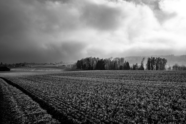 Landschaftliche Aussicht auf den Bauernhof vor dem Himmel