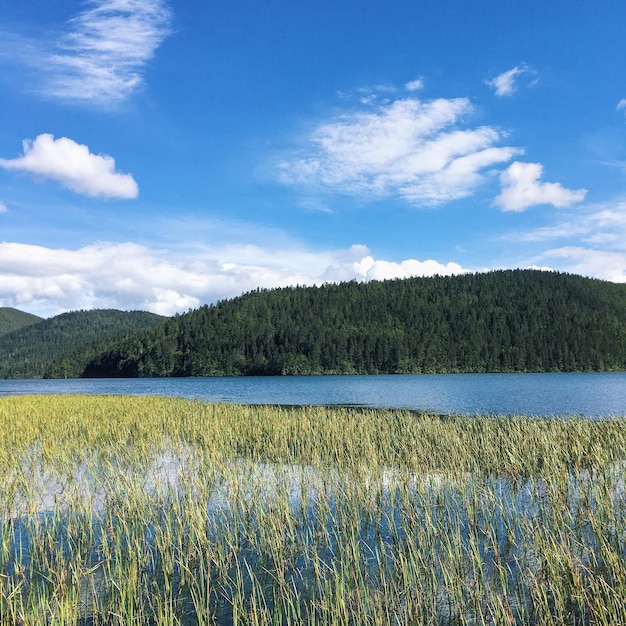 Landschaftliche Aussicht auf den Fluss durch die Berge gegen den Himmel
