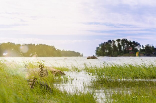 Foto landschaftliche aussicht auf den fluss gegen den himmel