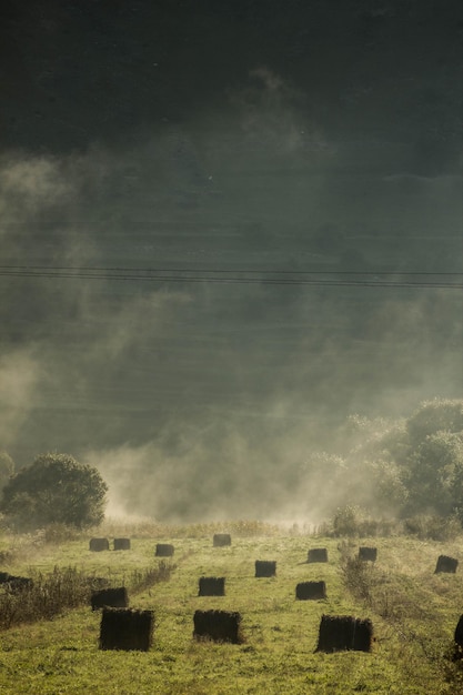 Foto landschaftliche aussicht auf den friedhof gegen den himmel