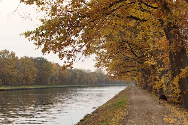 Landschaftliche Aussicht auf den Fußweg am See im Herbst
