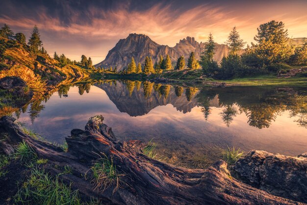 Foto landschaftliche aussicht auf den see durch bäume gegen den himmel bei sonnenuntergang