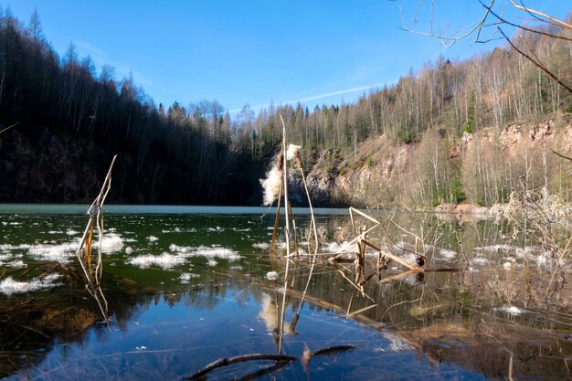 Foto landschaftliche aussicht auf den see durch bäume gegen den himmel