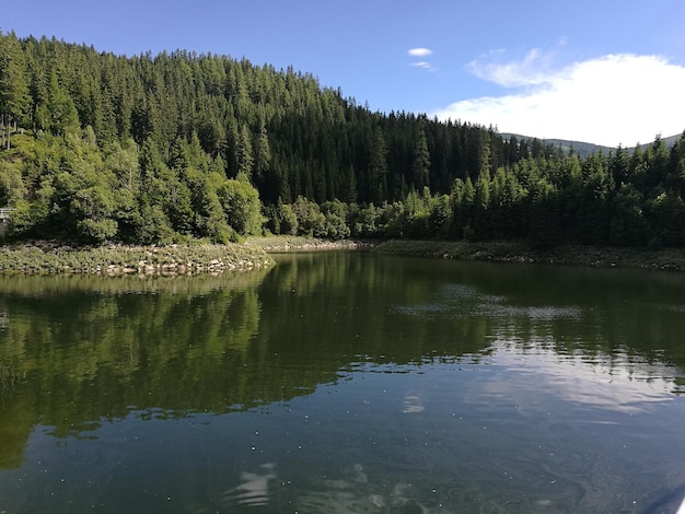 Landschaftliche Aussicht auf den See durch Bäume gegen den Himmel