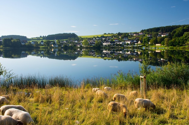 Foto landschaftliche aussicht auf den see durch bäume gegen den himmel