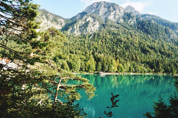 Landschaftliche Aussicht auf den See durch Bäume gegen den Himmel