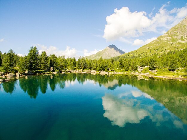 Landschaftliche Aussicht auf den See durch Bäume gegen den Himmel