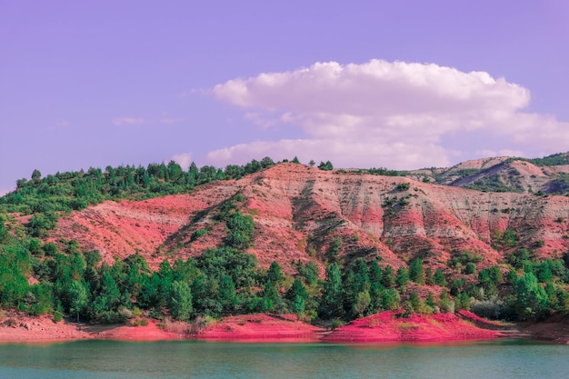 Landschaftliche Aussicht auf den See durch Bäume gegen den Himmel