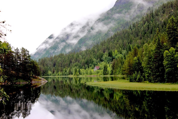 Landschaftliche Aussicht auf den See durch Bäume gegen den Himmel