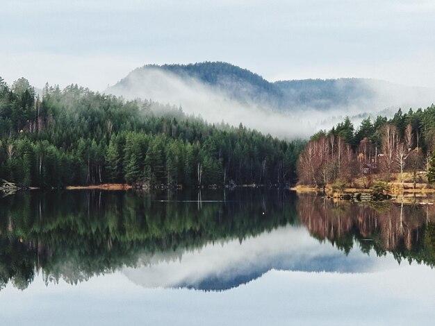 Landschaftliche Aussicht auf den See durch Bäume gegen den Himmel