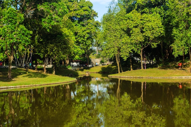 Landschaftliche Aussicht auf den See durch Bäume im Park