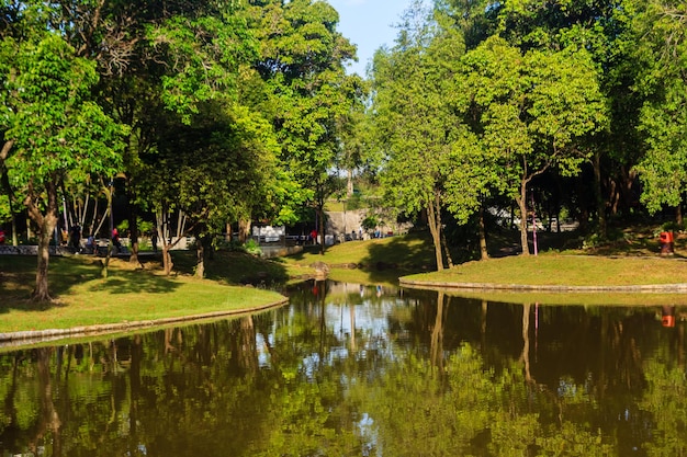 Landschaftliche Aussicht auf den See durch Bäume im Park