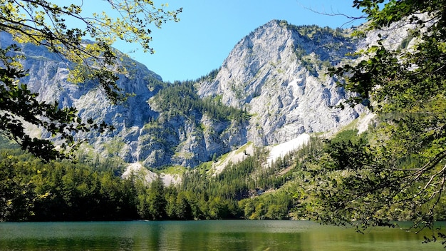 Foto landschaftliche aussicht auf den see durch bäume im wald gegen den himmel