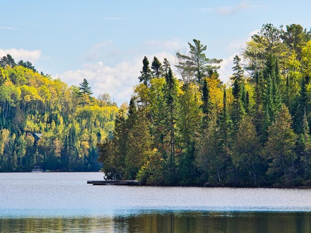 Foto landschaftliche aussicht auf den see durch bäume im wald gegen den himmel