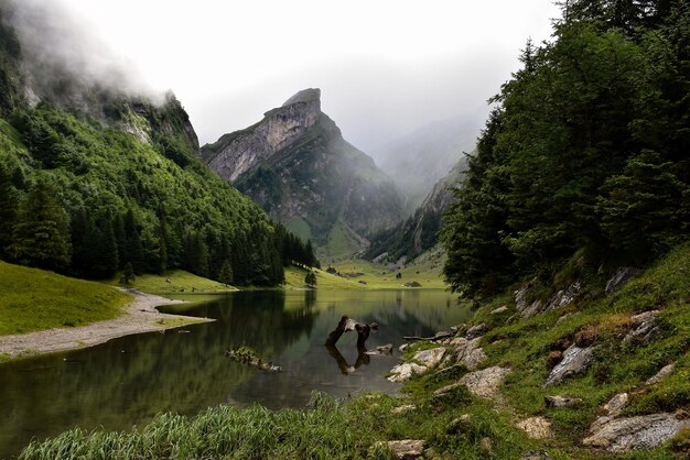 Foto landschaftliche aussicht auf den see gegen den himmel