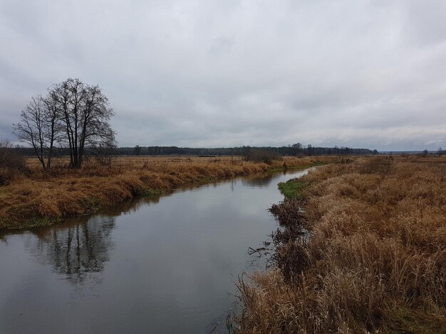 Landschaftliche Aussicht auf den See gegen den Himmel