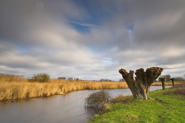 Foto landschaftliche aussicht auf den see gegen den himmel