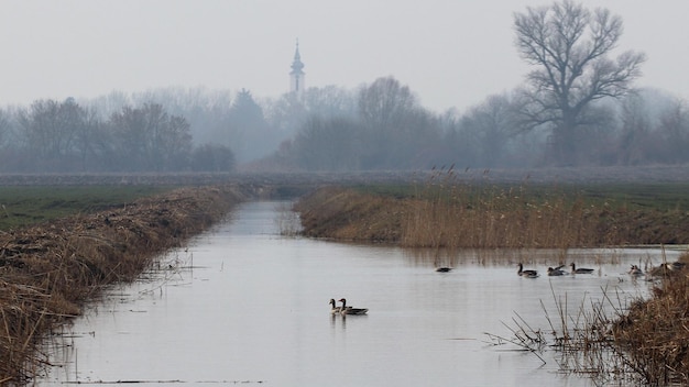 Foto landschaftliche aussicht auf den see gegen den himmel