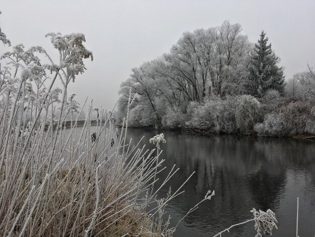 Foto landschaftliche aussicht auf den see gegen den himmel