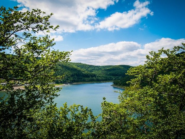 Foto landschaftliche aussicht auf den see im wald vor dem himmel