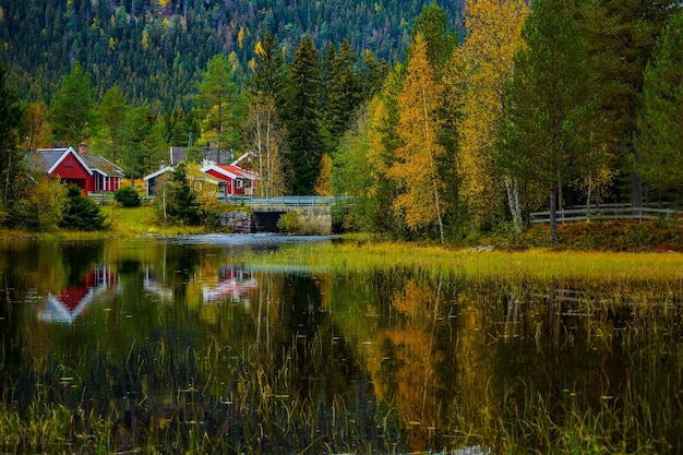 Landschaftliche Aussicht auf den See und die Bäume am Haus