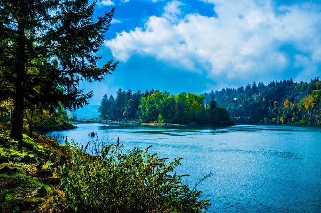 Foto landschaftliche aussicht auf den see vor bewölktem himmel