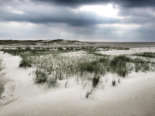 Foto landschaftliche aussicht auf den strand vor bewölktem himmel