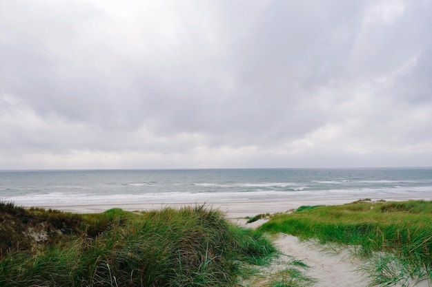 Landschaftliche Aussicht auf den Strand vor bewölktem Himmel