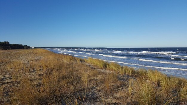 Foto landschaftliche aussicht auf den strand vor klarem blauen himmel