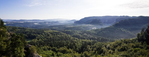 Foto landschaftliche aussicht auf den wald gegen den himmel