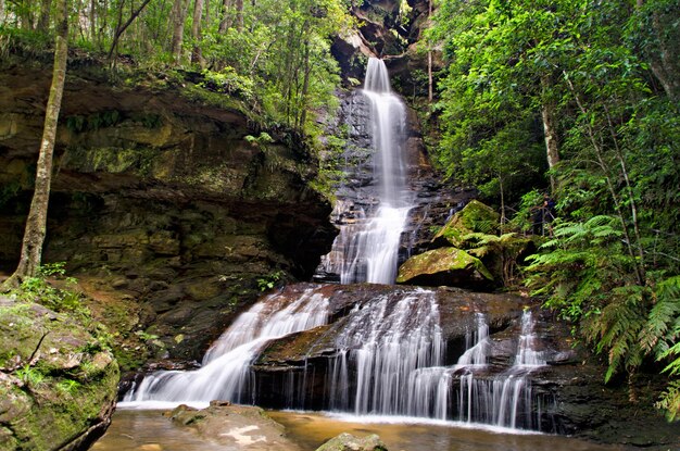 Landschaftliche Aussicht auf den Wasserfall im Wald