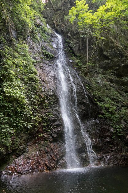 Foto landschaftliche aussicht auf den wasserfall