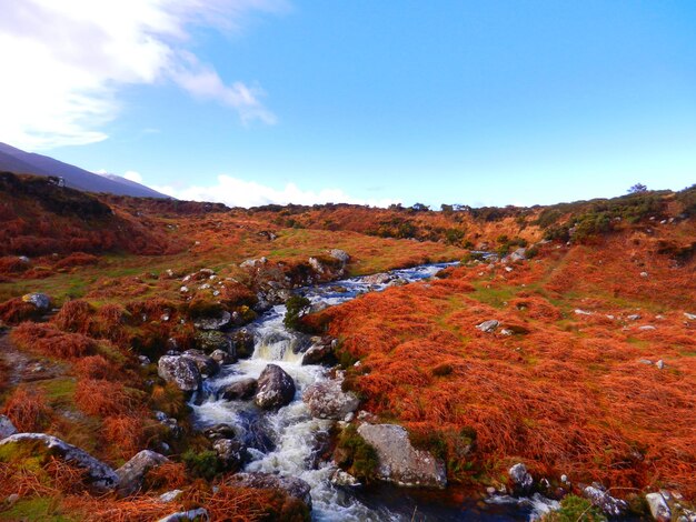 Foto landschaftliche aussicht auf die berge gegen den himmel im herbst