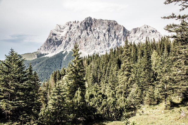 Foto landschaftliche aussicht auf die berge gegen den himmel