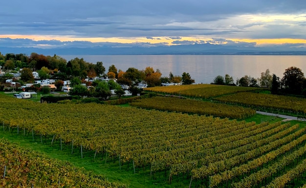 Landschaftliche Aussicht auf ein Ackerfeld gegen den Himmel bei Sonnenuntergang